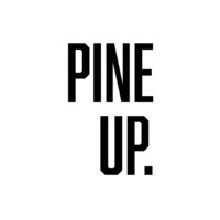 PINEUP logo - Similar company to Pineup Digital