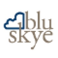 Blu Skye Consulting