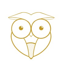 Minerva Recruitment LTD logo - Similar company to Next Draft Llc