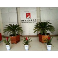 临清市鸿基集团有限公司 镀铝锌彩涂钢卷 logo - Similar company to Greforce Tire