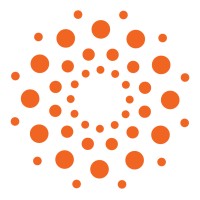 Synnect logo - Similar company to Nowsystems