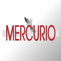 Mercurio srl