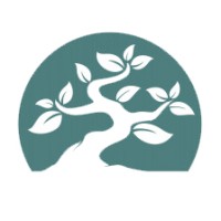 Bonsai Technologies logo - Similar company to Bonsai Solutions Inc