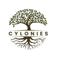 cylonies logo - Similar company to Silkport Capital