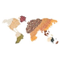 Trading House logo - Similar company to Ensue Consultancy