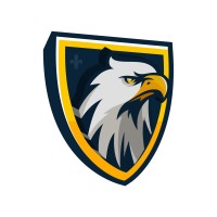 Motion Falcon logo - Similar company to Graphics Studio