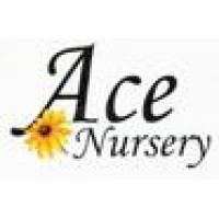 ACE Nursery