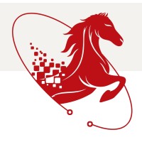 AriaSAP logo - Similar company to Project Steam