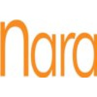 Nara Technology Services logo - Similar company to Bizont