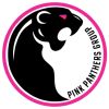 Pink Panthers Group logo - Similar company to Agenda Consulting