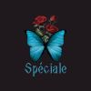 spéciale logo - Similar company to Perles De Vie
