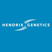 Hendrix Genetics Layers logo - Similar company to Vano Group