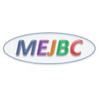 MEJBConsulting logo - Similar company to Wislport Compliance