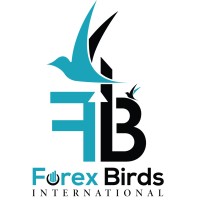 Forex Birds