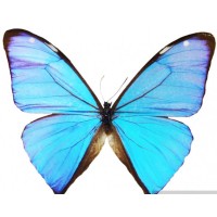 TEKNOSINAV logo - Similar company to Sometity