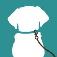 How I Met My Dog / Competibility Group