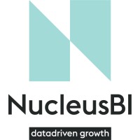 NucleusBI logo - Similar company to Youbahn