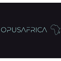 OPUS-AFRICA GWU logo - Similar company to Innovations In Peacebuilding