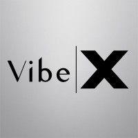 Vibe X logo - Similar company to Rupanicom As
