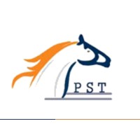 Pioneer Star Transport LLC logo - Similar company to Dbg-Solar & Group