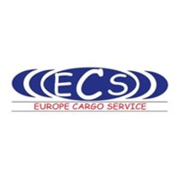 ECS International Transport logo - Similar company to Byte Digital