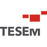 TESEM Group logo - Similar company to Some Stamping Solutions