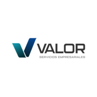 Valor - Servicios Empresariales logo - Similar company to Cripto Dinero