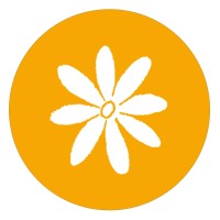 LSA Family Health Service logo - Similar company to The East Harlem School At Exodus House