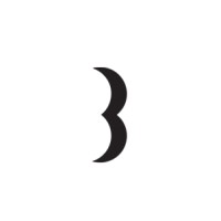Birdview Group logo - Similar company to Birdview