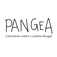 Pangea logo - Similar company to Sanks
