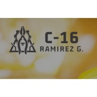 C-16 logo - Similar company to B