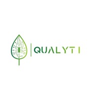 QualyTI logo - Similar company to Xlogic Soluções Em Ti