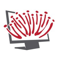 Bay Of Islands Computers