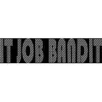 IT Job Bandit logo - Similar company to Cbm It