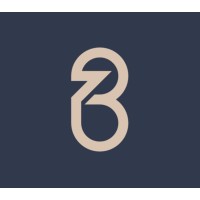BVTronics logo - Similar company to Customer Connect Solutions