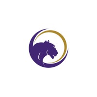 Panther Financial Services logo - Similar company to Veterans Financial Services Advisory Council (Vfsac)