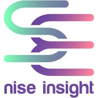NiSE Insight Sdn. Bhd. logo - Similar company to Ansi Systems Sdn Bhd