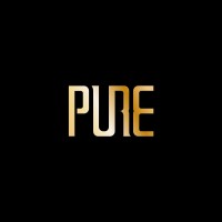 Pure Group logo - Similar company to Next Ballers
