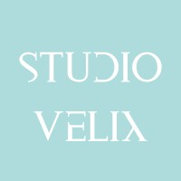 Studio Velix logo - Similar company to Bergwerk