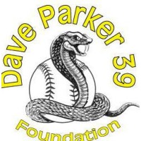 Dave Parker39 Foundation logo - Similar company to Sistergolf