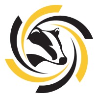 Badger Contracting logo - Similar company to Badger Consulting Services