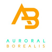 Auroral Borealis-Imsika LTD logo - Similar company to Cloudways Group