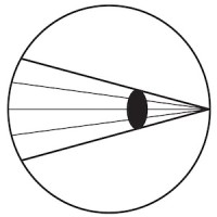 Sightline Arts logo - Similar company to Prosperity Farm