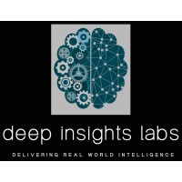 deepinsights.ai logo - Similar company to Deep Insights Group