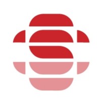 Strategic Quality & Standardization Consultants Co LLC logo - Similar company to Kaihatsu Pro