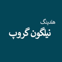Nilgongroup logo - Similar company to مالی و حسابداری
