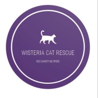 Wisteria Cat Rescue logo - Similar company to Norb Lighting, Llc