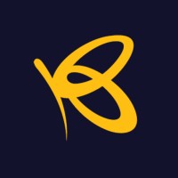 Soft King logo - Similar company to Alex Web Design