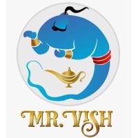 MISTER VISH INFOTECH logo - Similar company to Identitie Enrichment