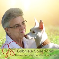 🐕 Gabriele Sauerland Tiermediatorin communicanis logo - Similar company to Tierkommunikation & Tierheilpraktik (Ausbildungen/Onlineseminare)